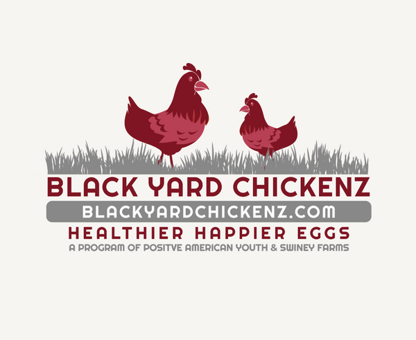 Black Yard Chickenz